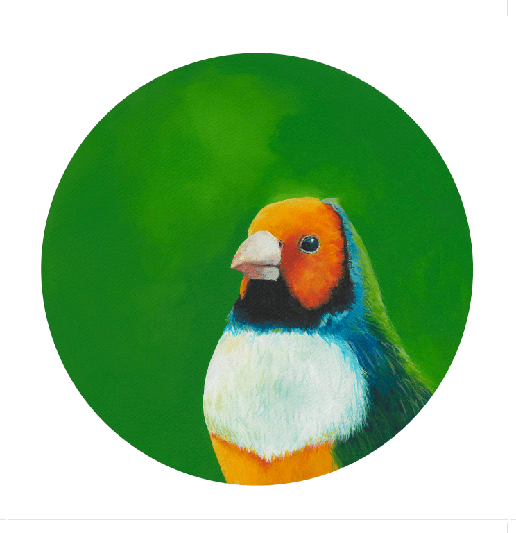 Gouldian Finch 8" Giclée Print