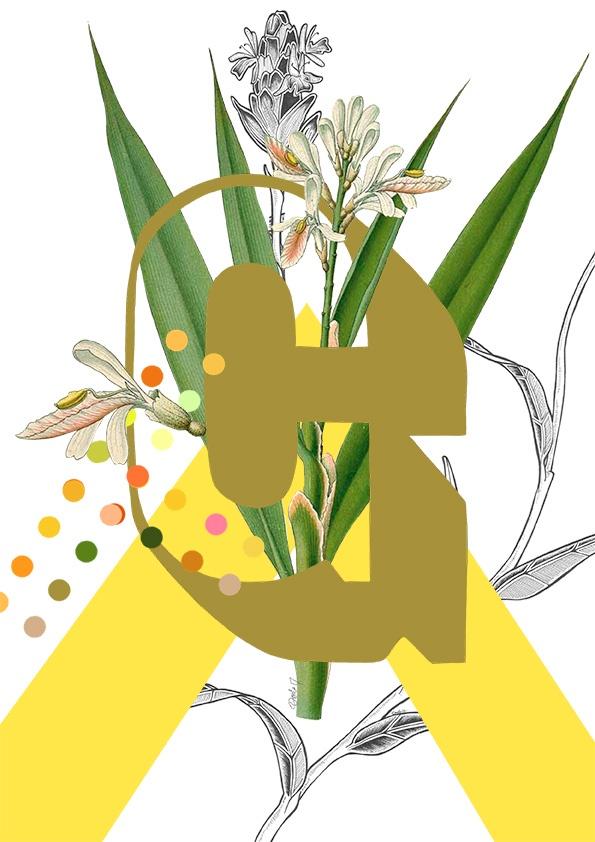 Botanical Alphabet G Greeting Card