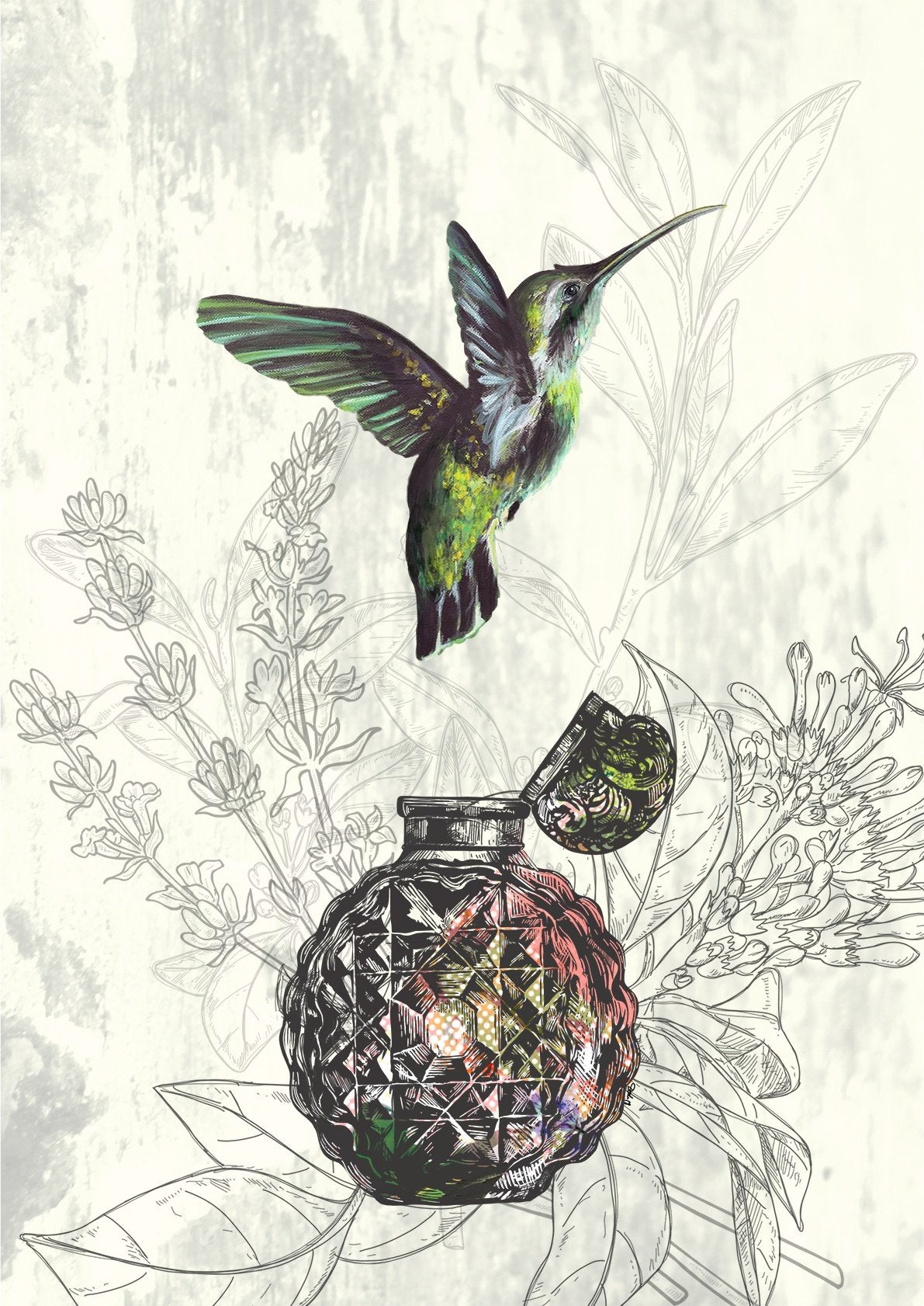 Les Parfums Colibri Vert A4 Print