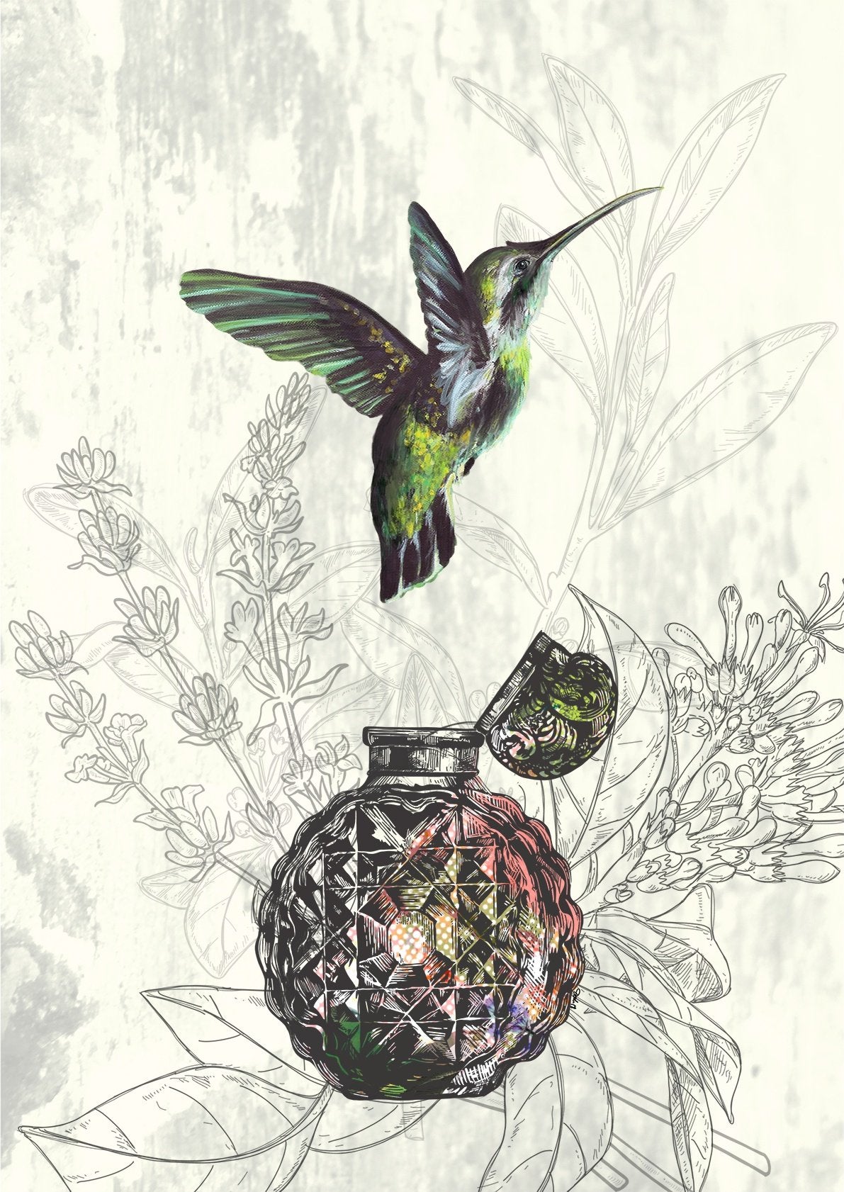 Les Parfums Colibri Vert A3 Print