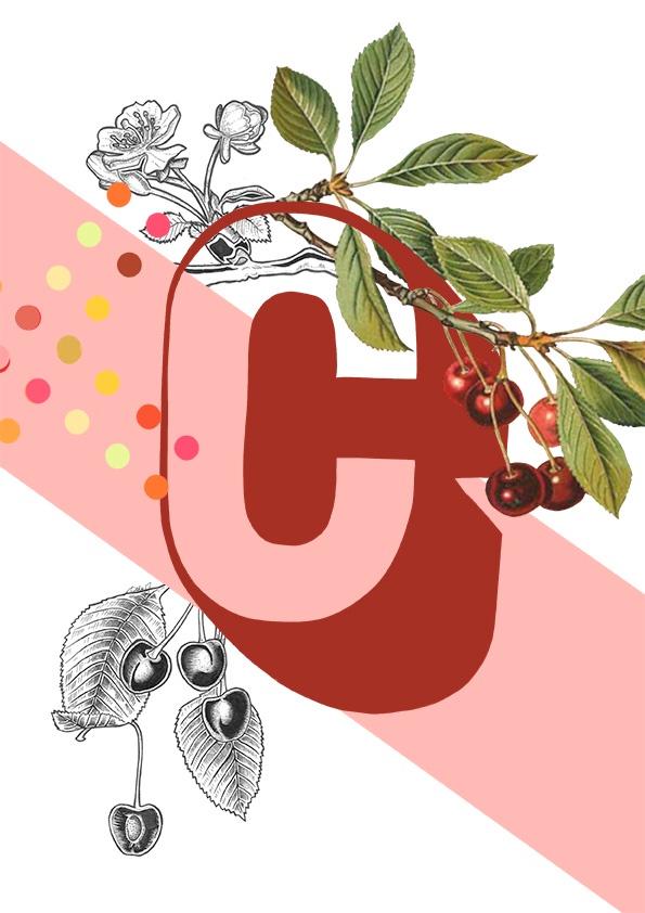 Botanical Alphabet C Greeting Card
