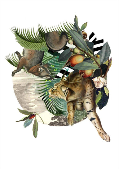Fox & Lynxs' Tropical Escape Matte Art Print