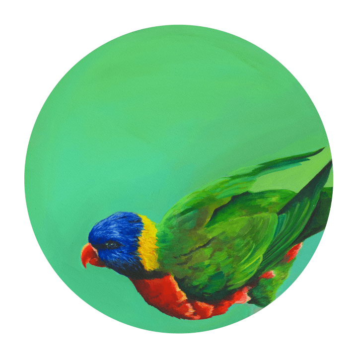 Rainbow Lorikeet 8" Giclée Print