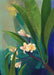 39110 Tree Flowers Plumeria (Frangipani)