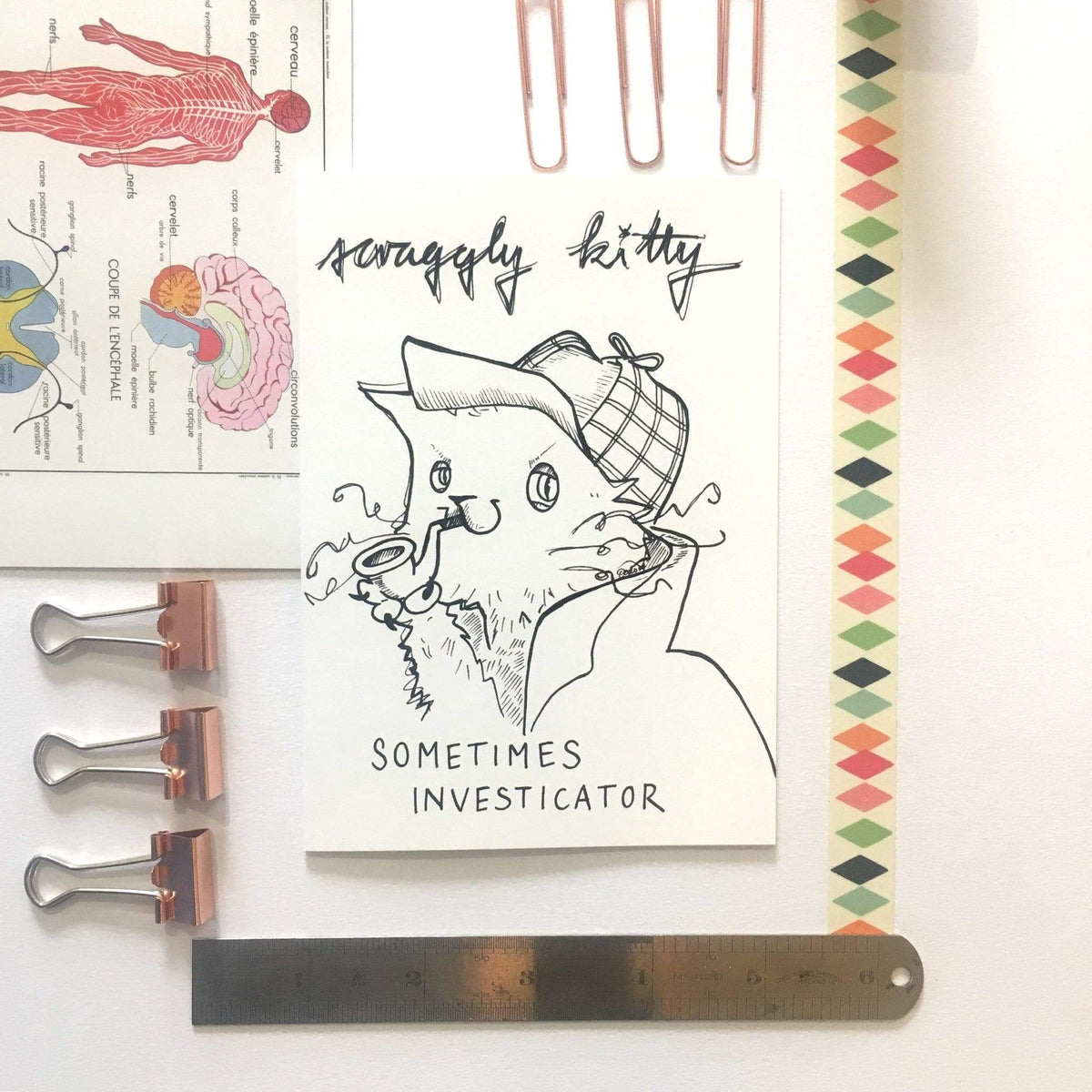 Scraggly Kitty Sometimes Investicator Greeting Card - (Trade Pack 6)