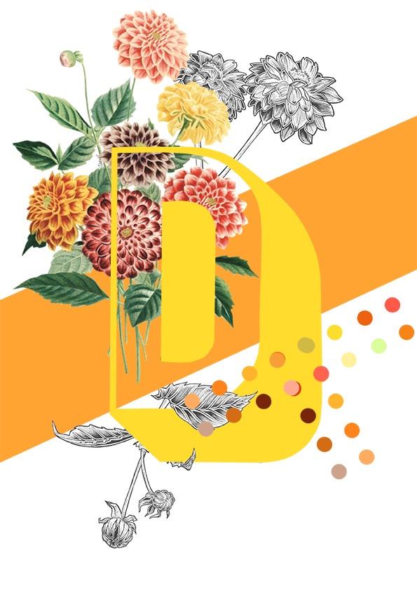 Botanical Alphabet D Greeting Card