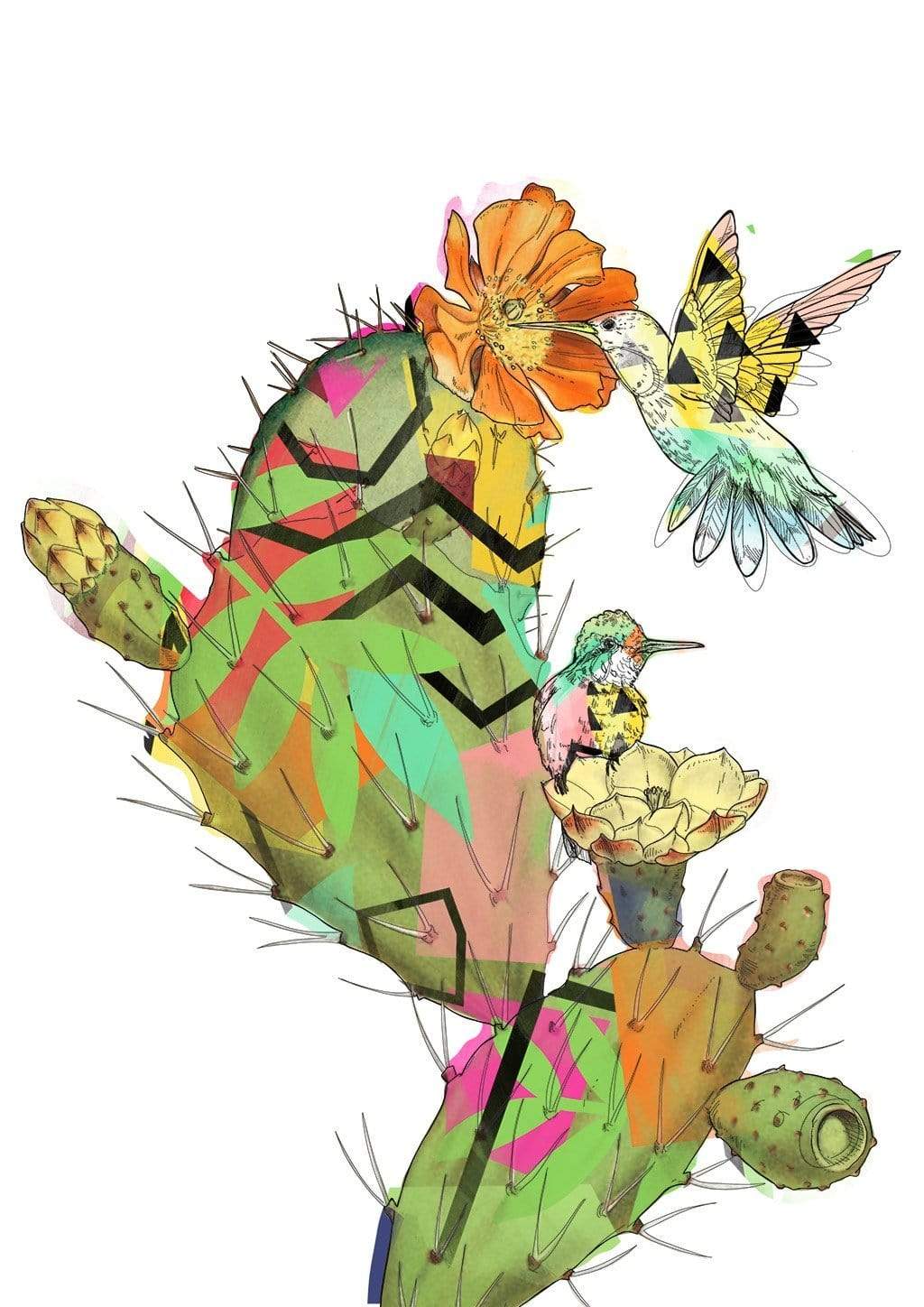 Hummingbird Cactus Matte Art Print