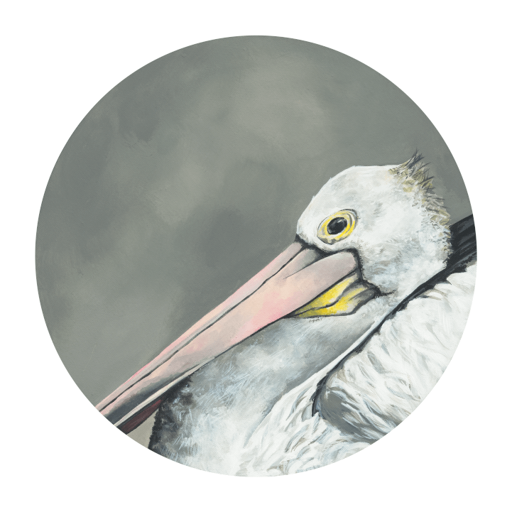 Pelican 8" Giclée Print