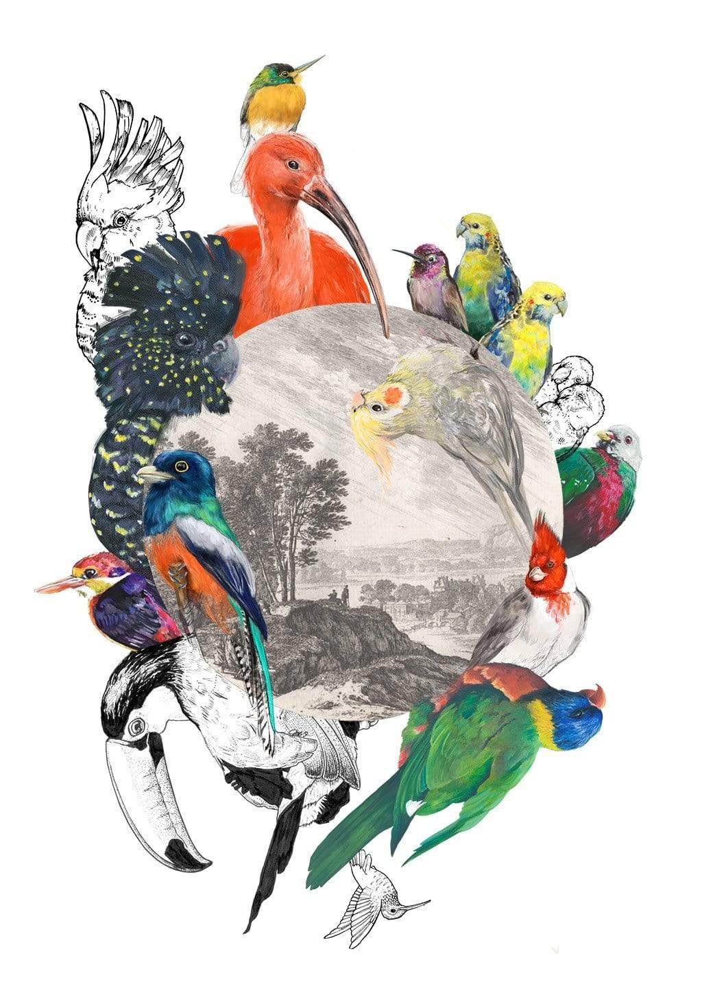 Le Beak C'est Chic Matte Art Print