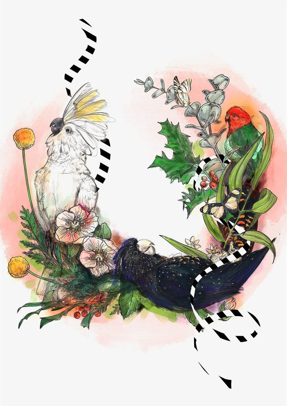 Party Of Parrots A4 Print