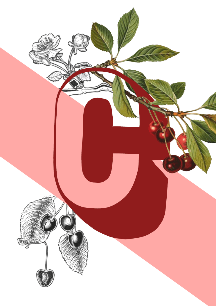 Botanical Alphabet C A4 Print