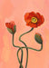 49127 Painterly Poppies Red