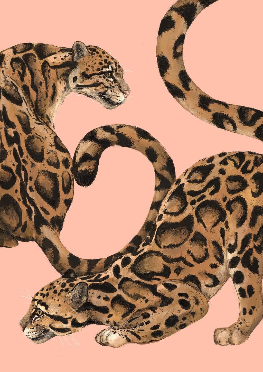 Clouded Elegance A2 Giclée Print