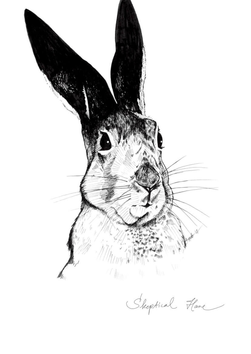 Skeptical Hare A3 Print
