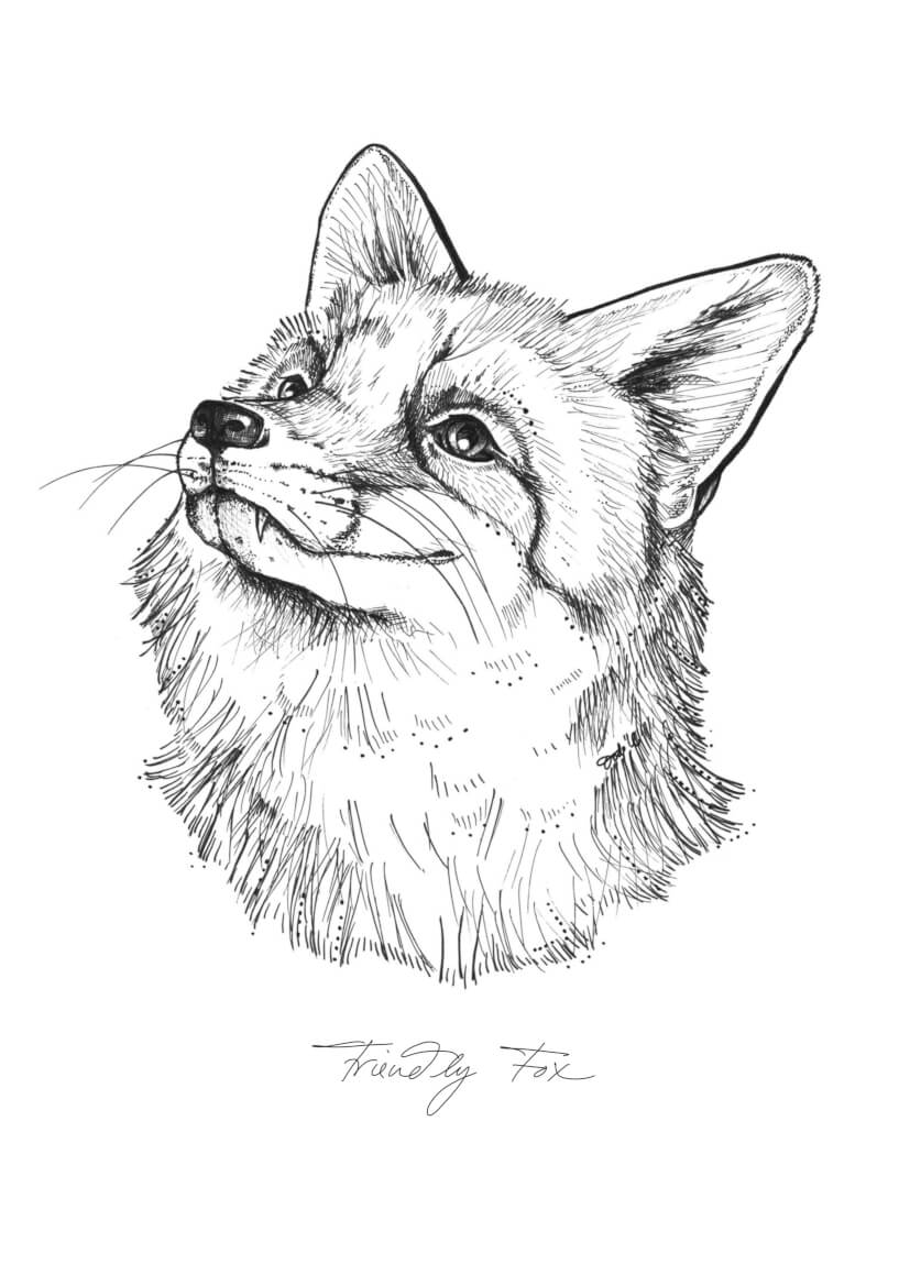 Friendly Fox A4 Print
