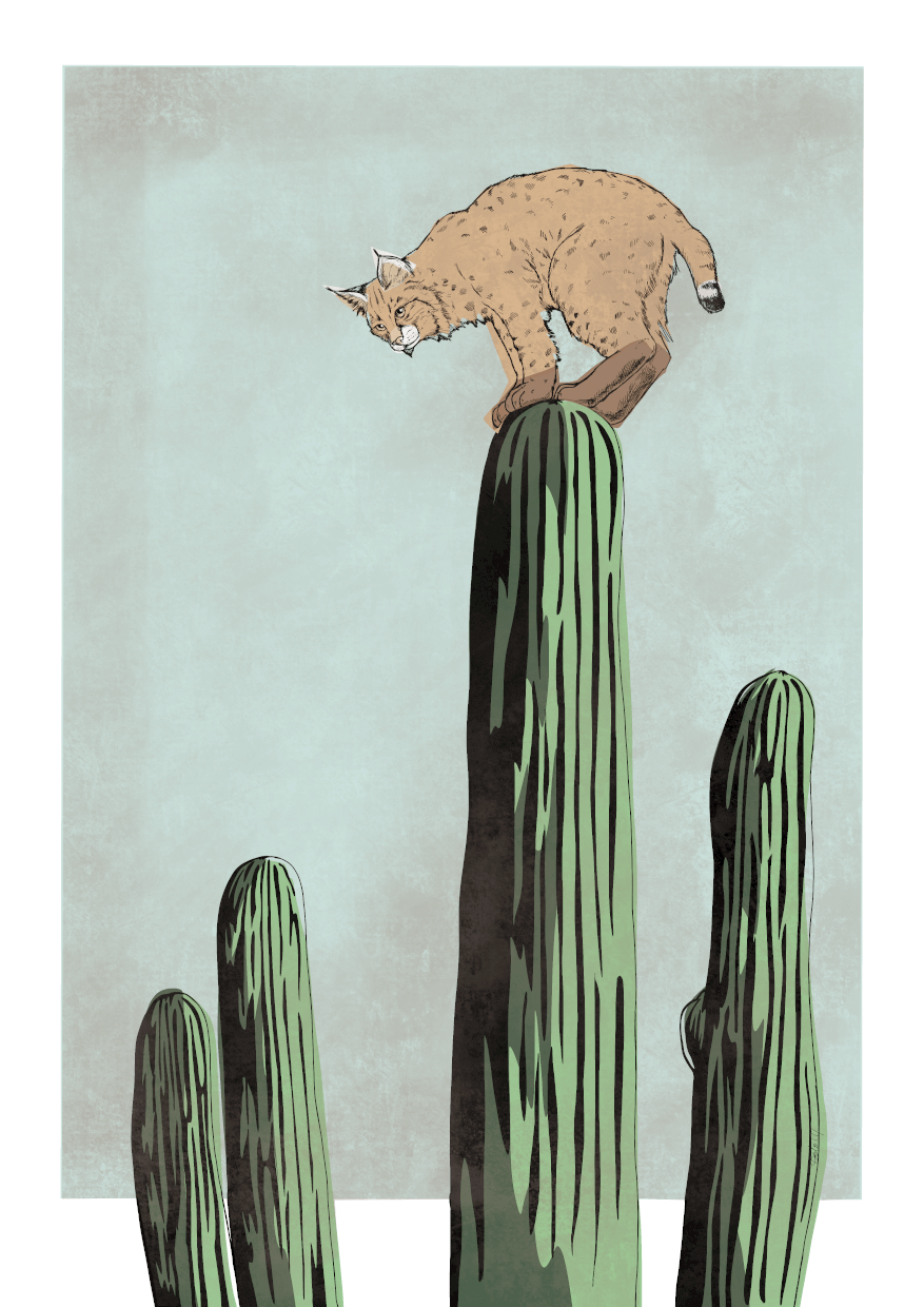 Bobcatctus Blue A3 Print