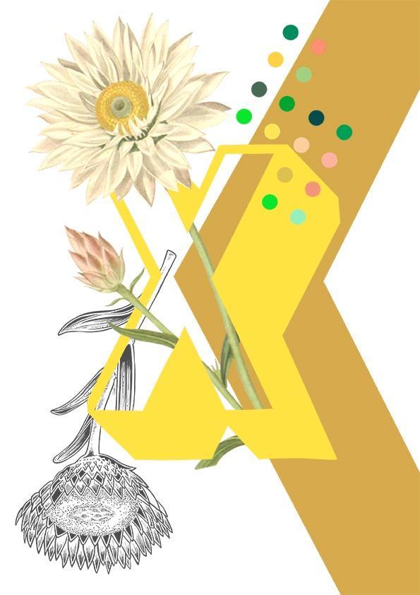 Botanical Alphabet X Greeting Card