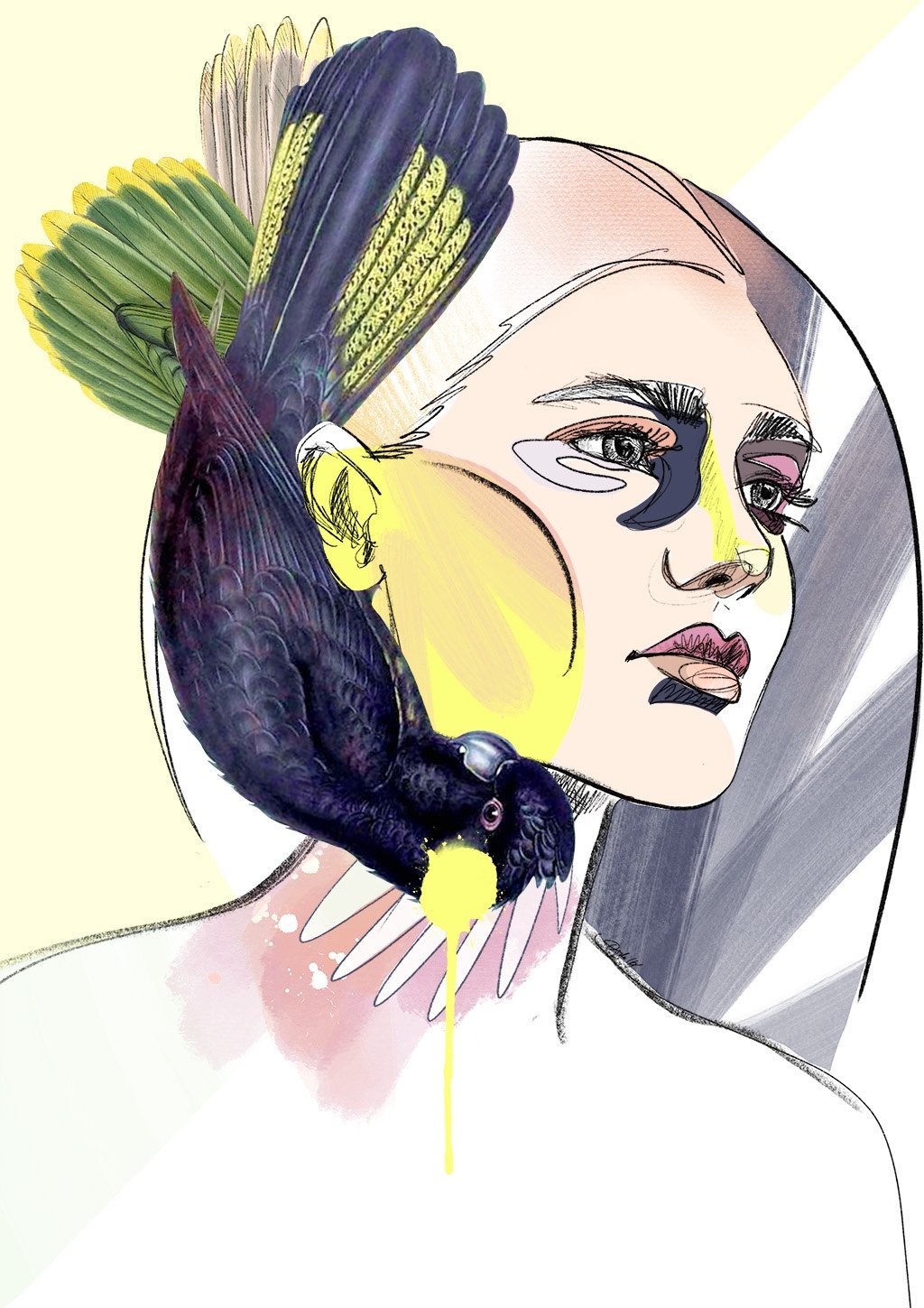 Featherbrain Yellowtail A2 Print