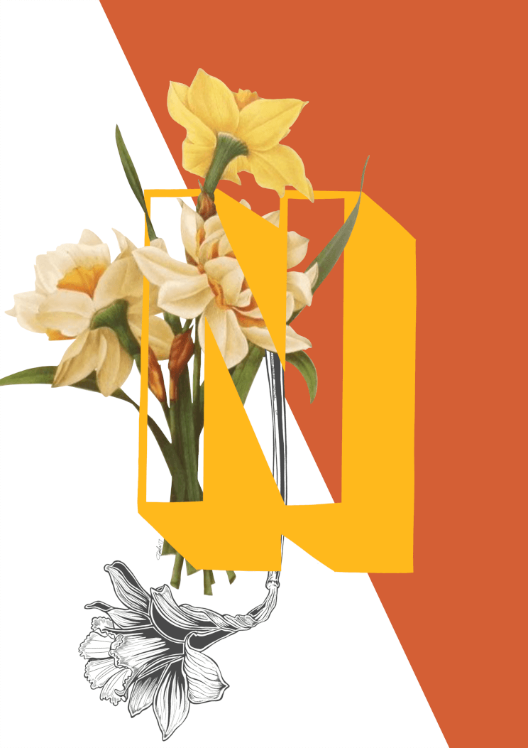 Botanical Alphabet N A2 Print