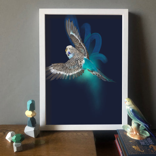 Budgerigar’s Midnight Adventure A4 Giclée Print