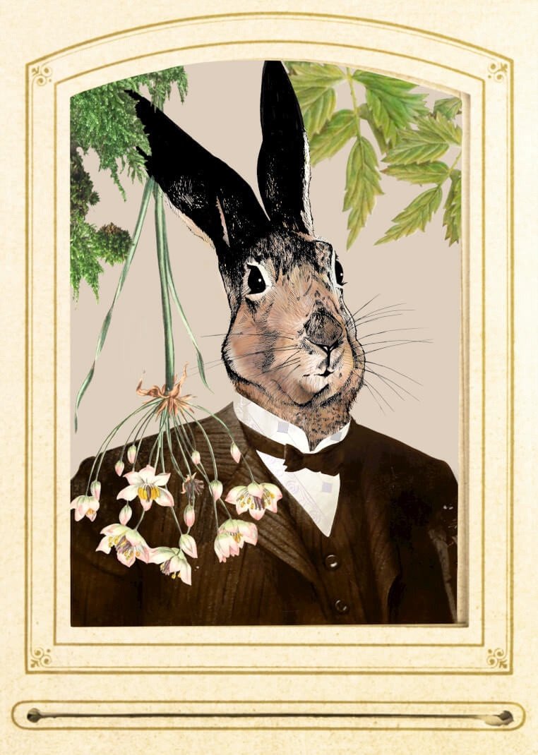 Hare In A Suit A3 Print