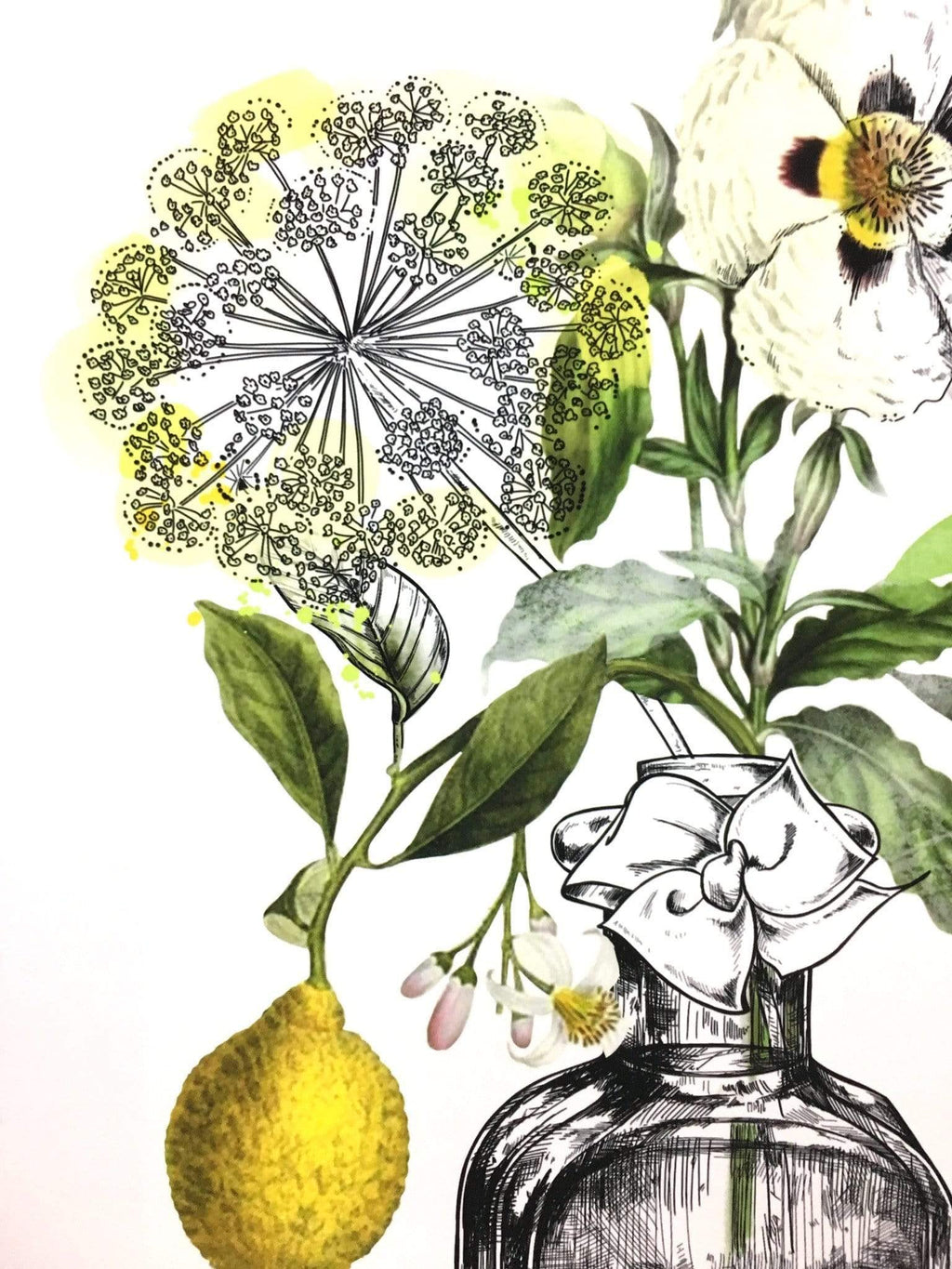 Chypre A2 Print