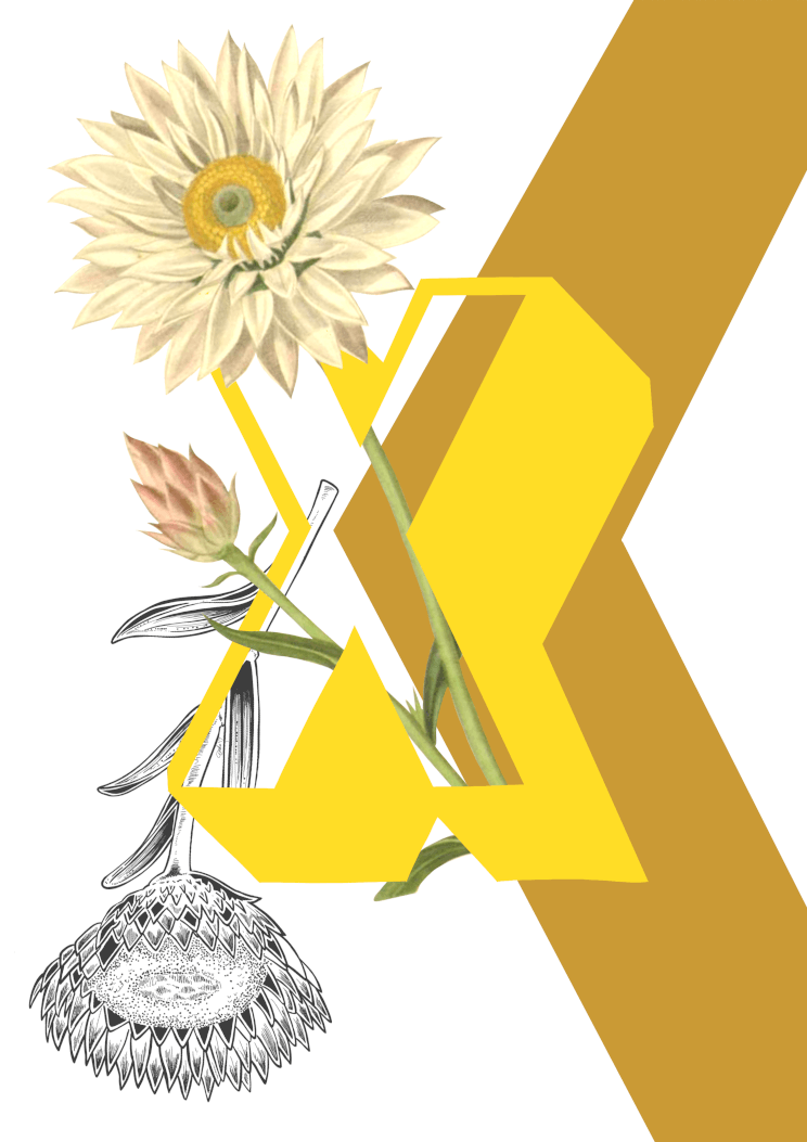 Botanical Alphabet X A2 Print