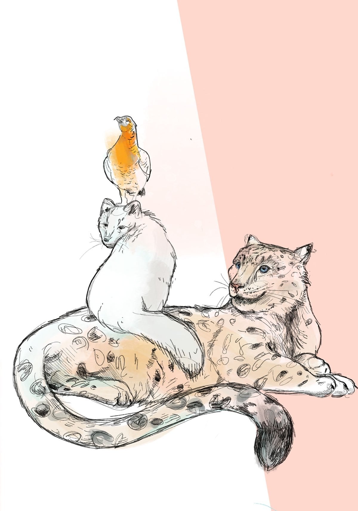 Snow Leopard, Arctic Fox & Capercaillie Greeting Card - (Trade Pack 6)