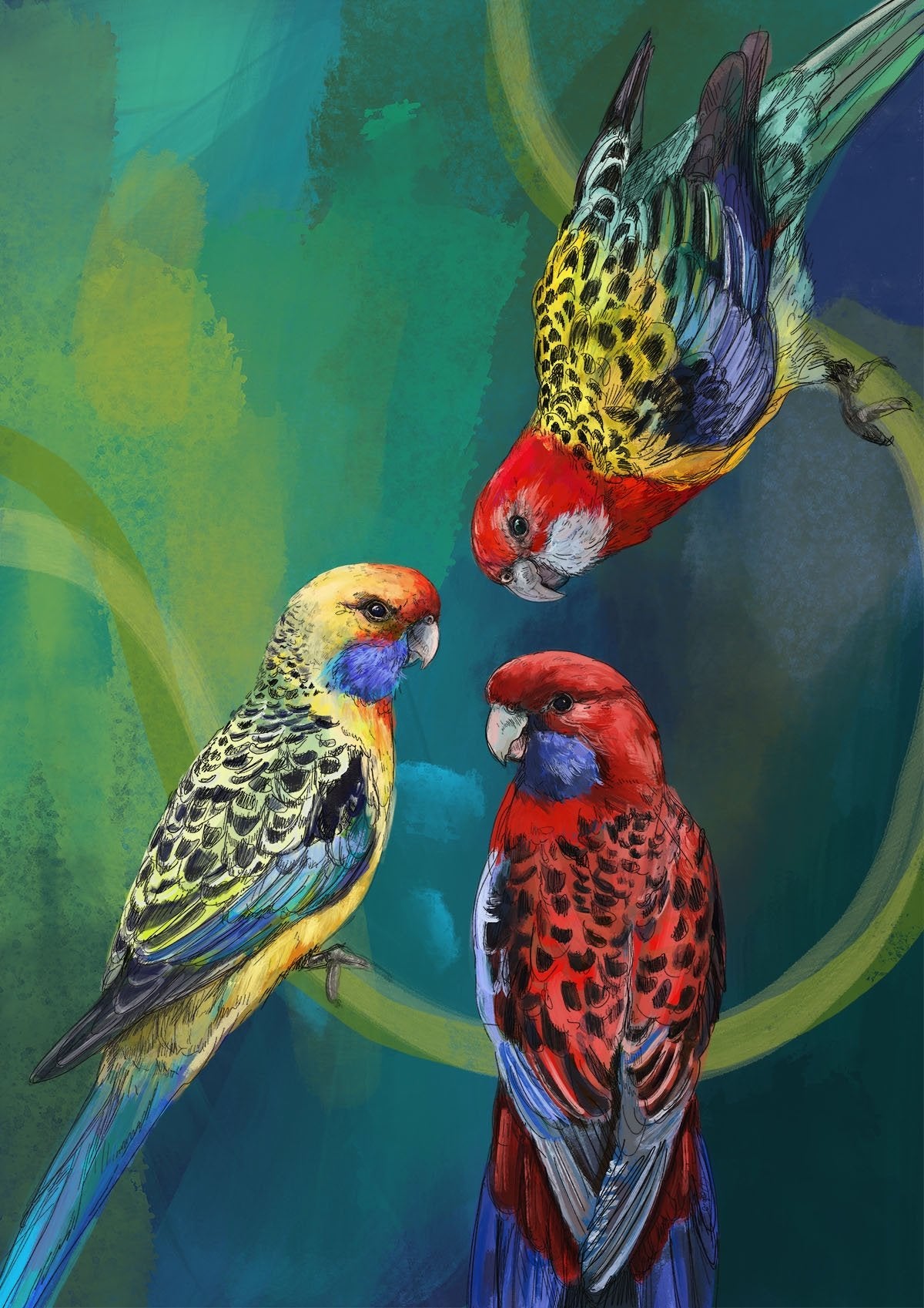 Rondel Of Rosellas A3 Giclée Print