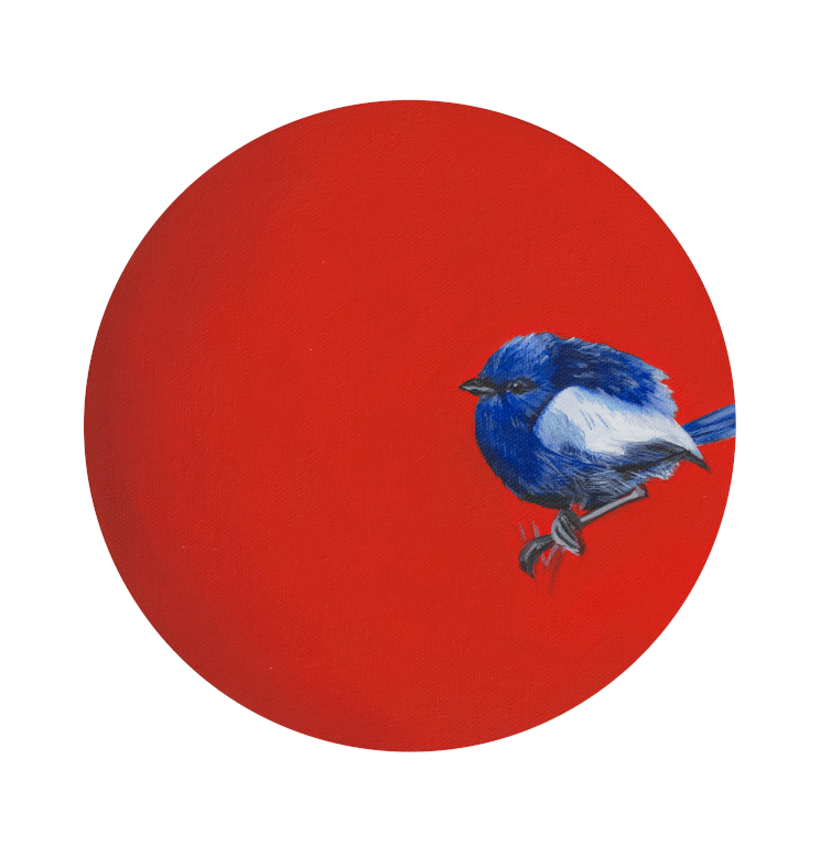 Fairy Wren 8" Giclée Print