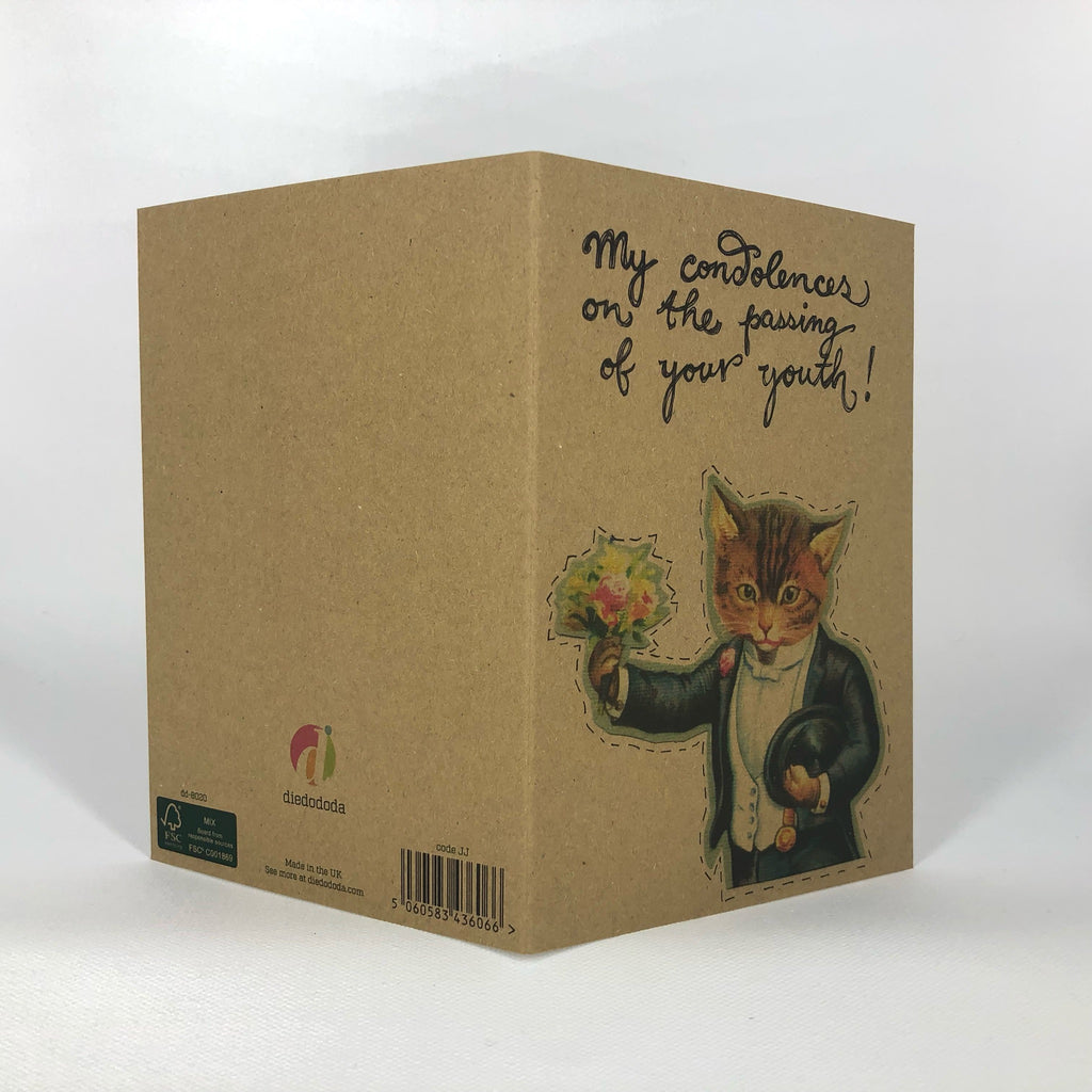 Condolences Kitty Greeting Card