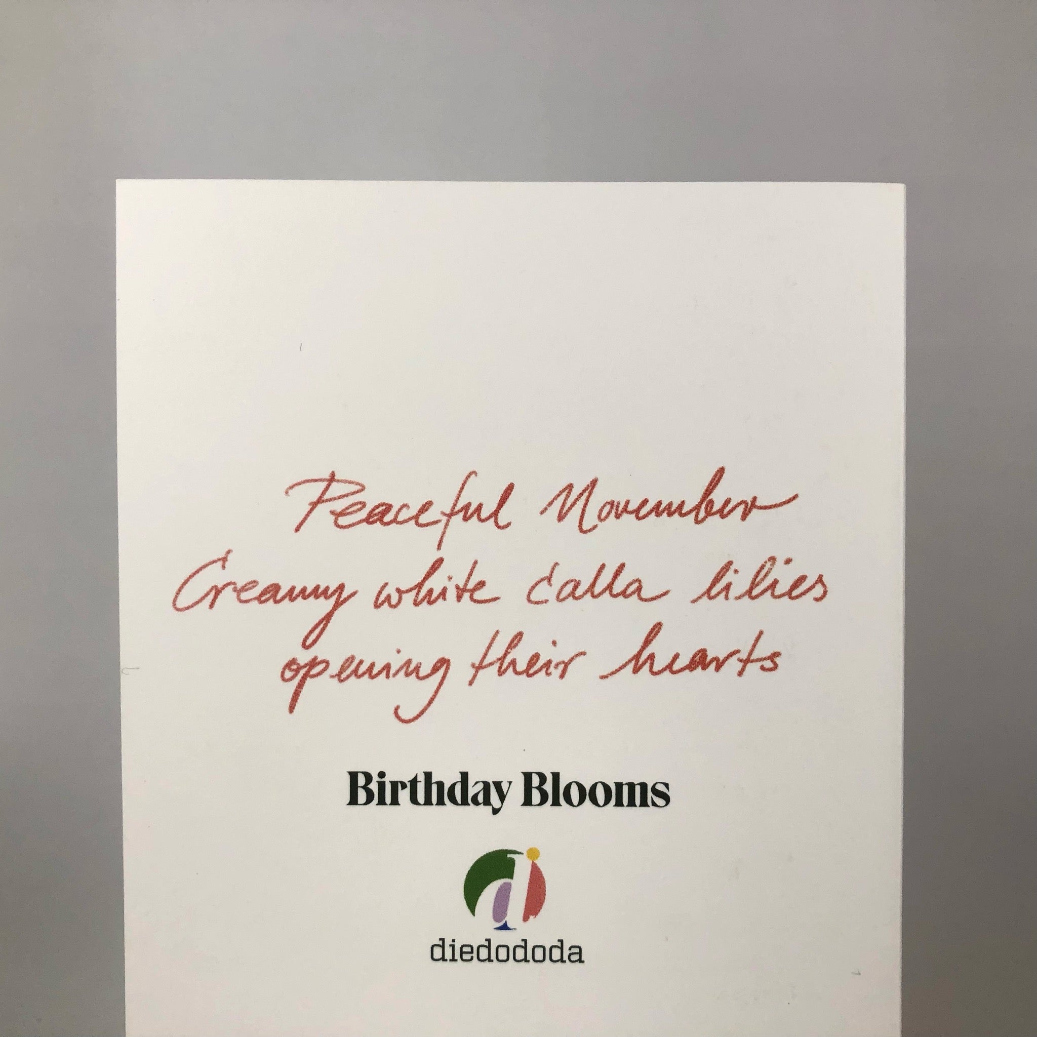 November Birthday Bloom Greeting Card