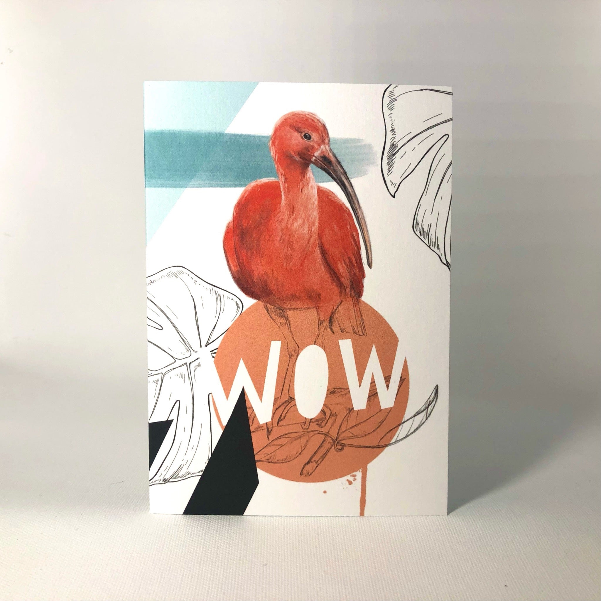 Scarlet Ibis - Wow Greeting Card