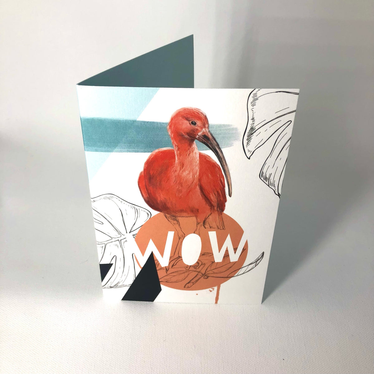 Scarlet Ibis - Wow Greeting Card