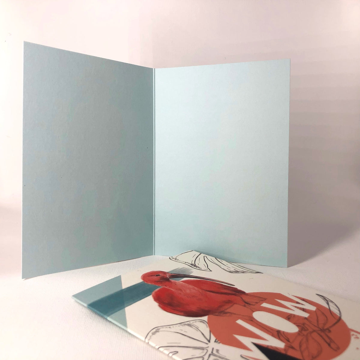 Scarlet Ibis - Wow Greeting Card