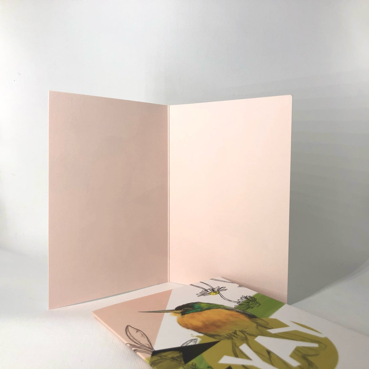 Blue-cheeked jacamar - Yay Greeting Card