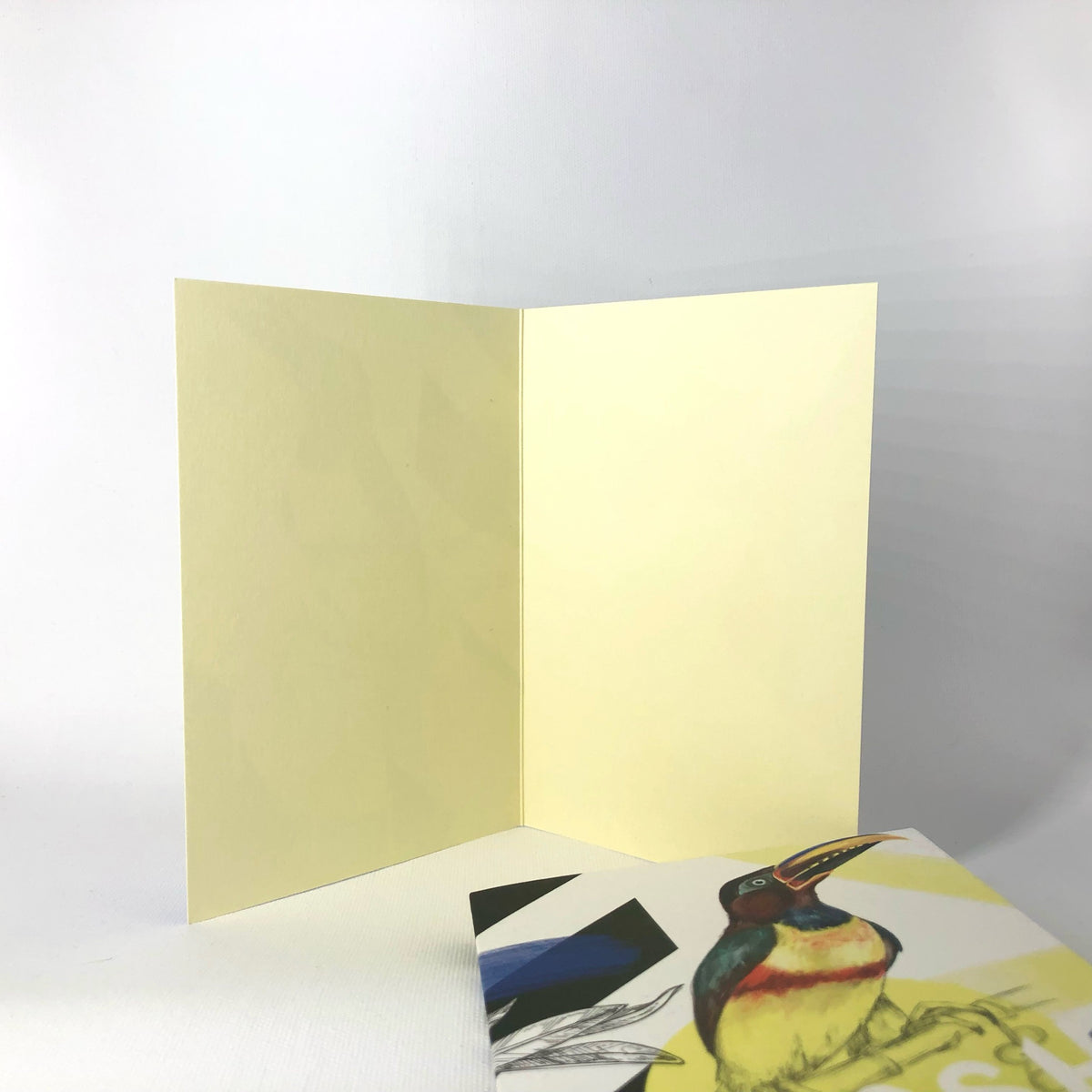 Chestnut-eared araçari - Gosh Greeting Card