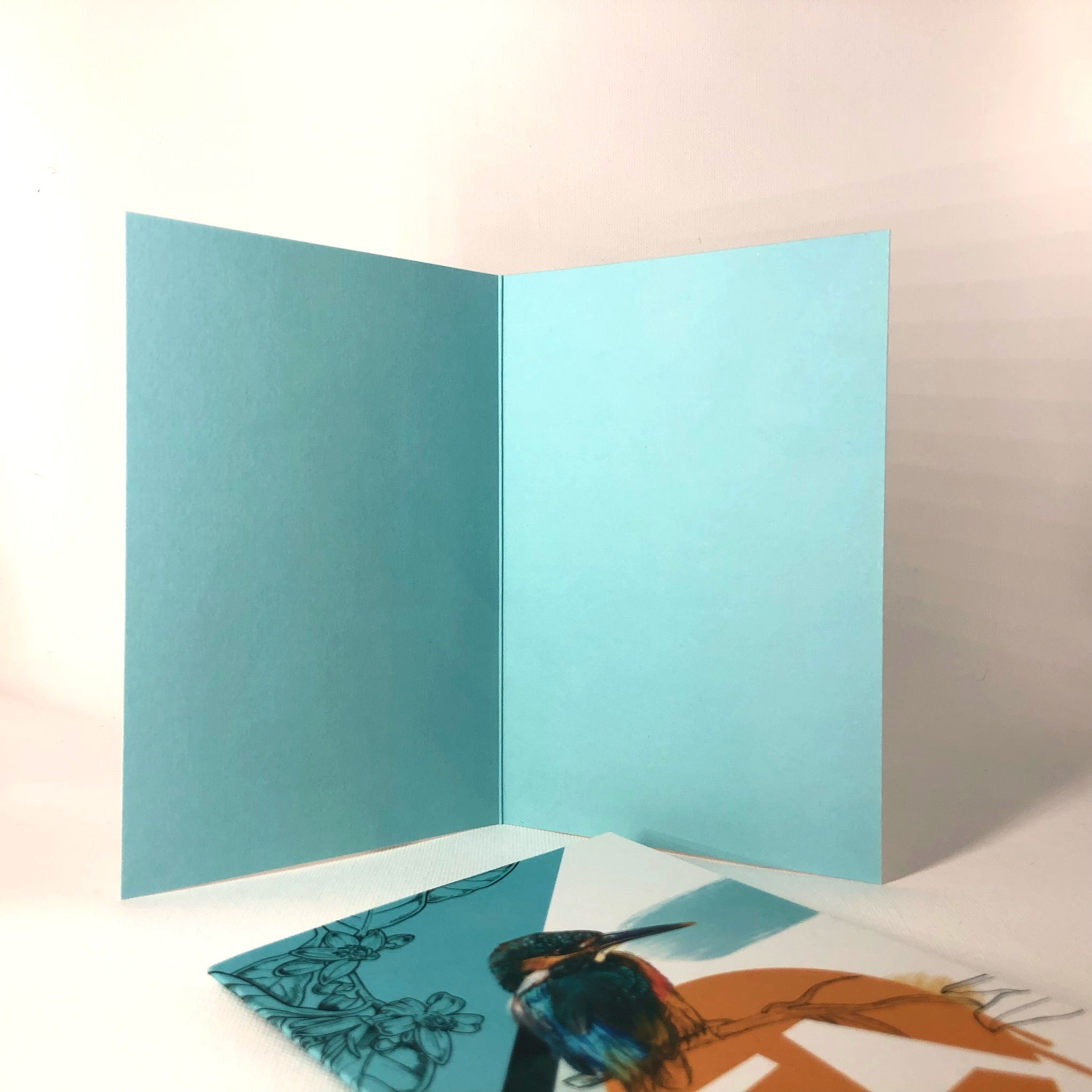 Kingfisher - Ta Greeting Card
