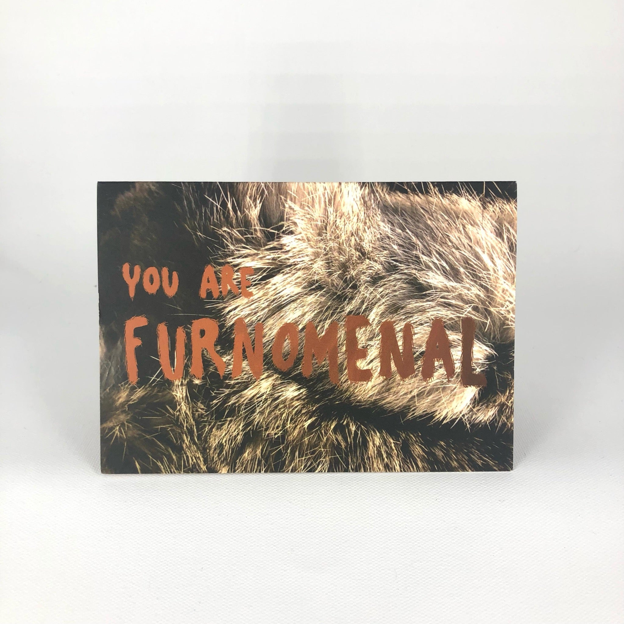 Furnomenal Greeting Card