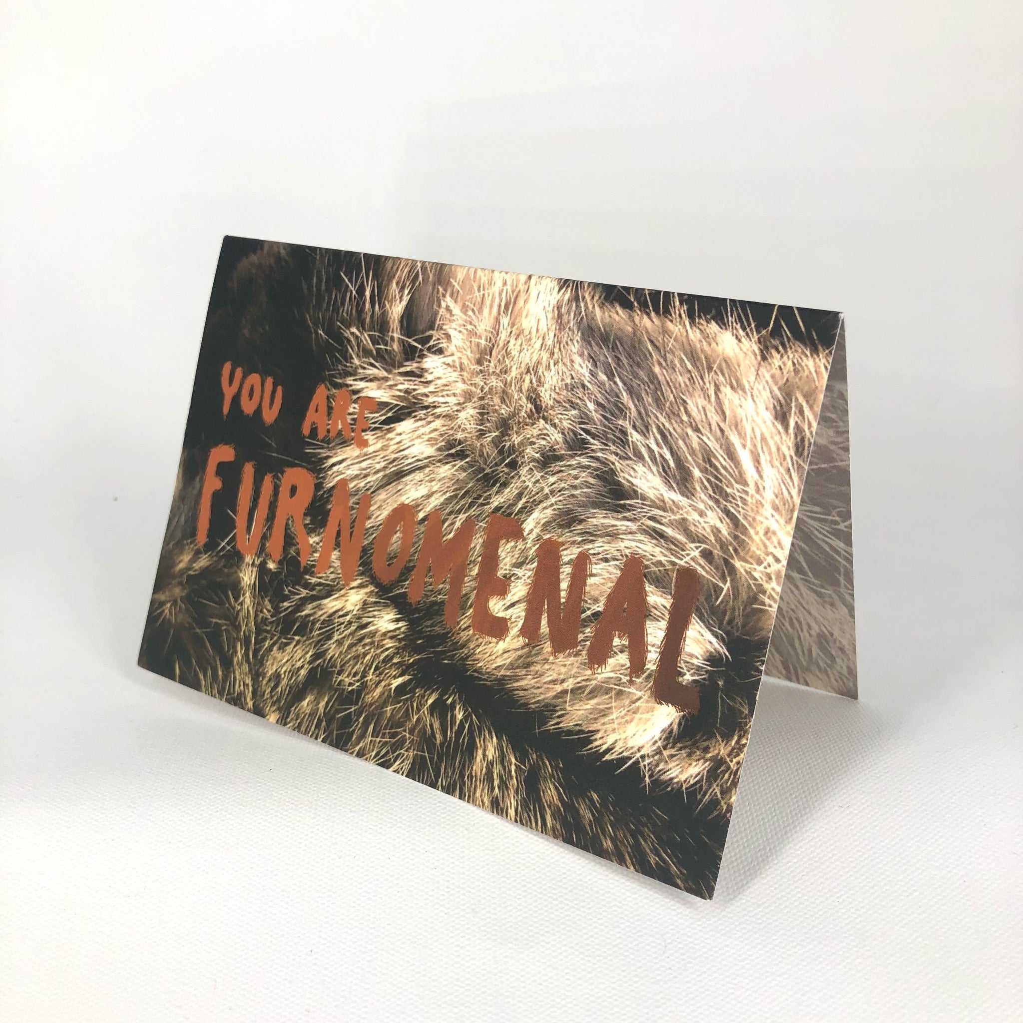 Furnomenal Greeting Card