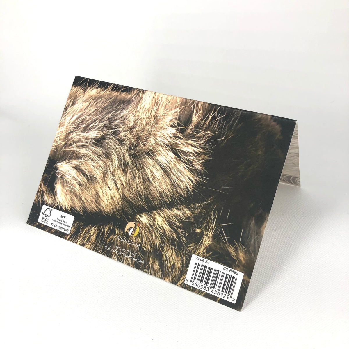 Furnomenal Greeting Card
