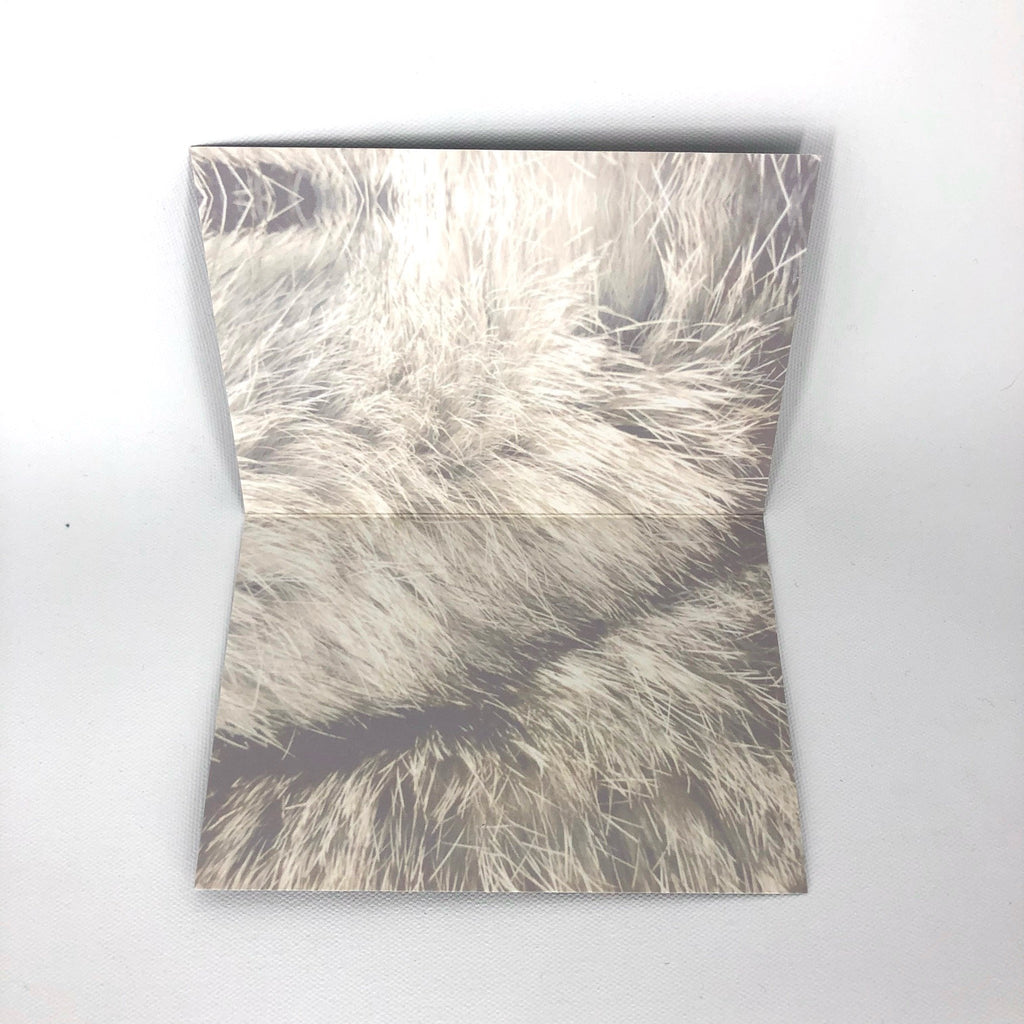 Furry Catmas