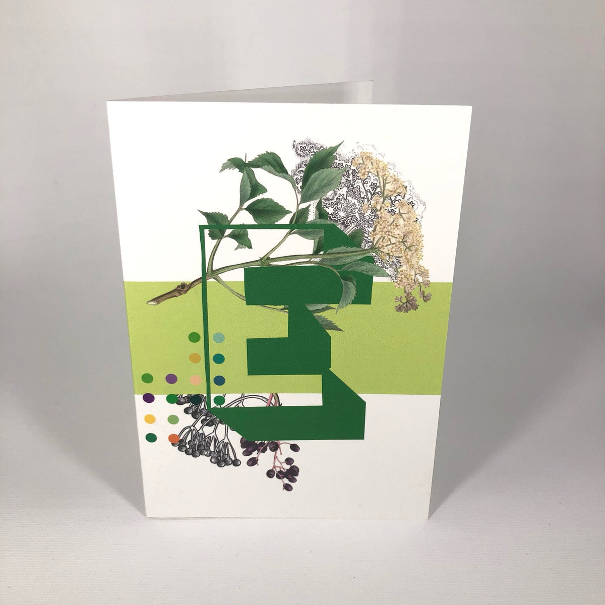 Botanical Alphabet E Greeting Card