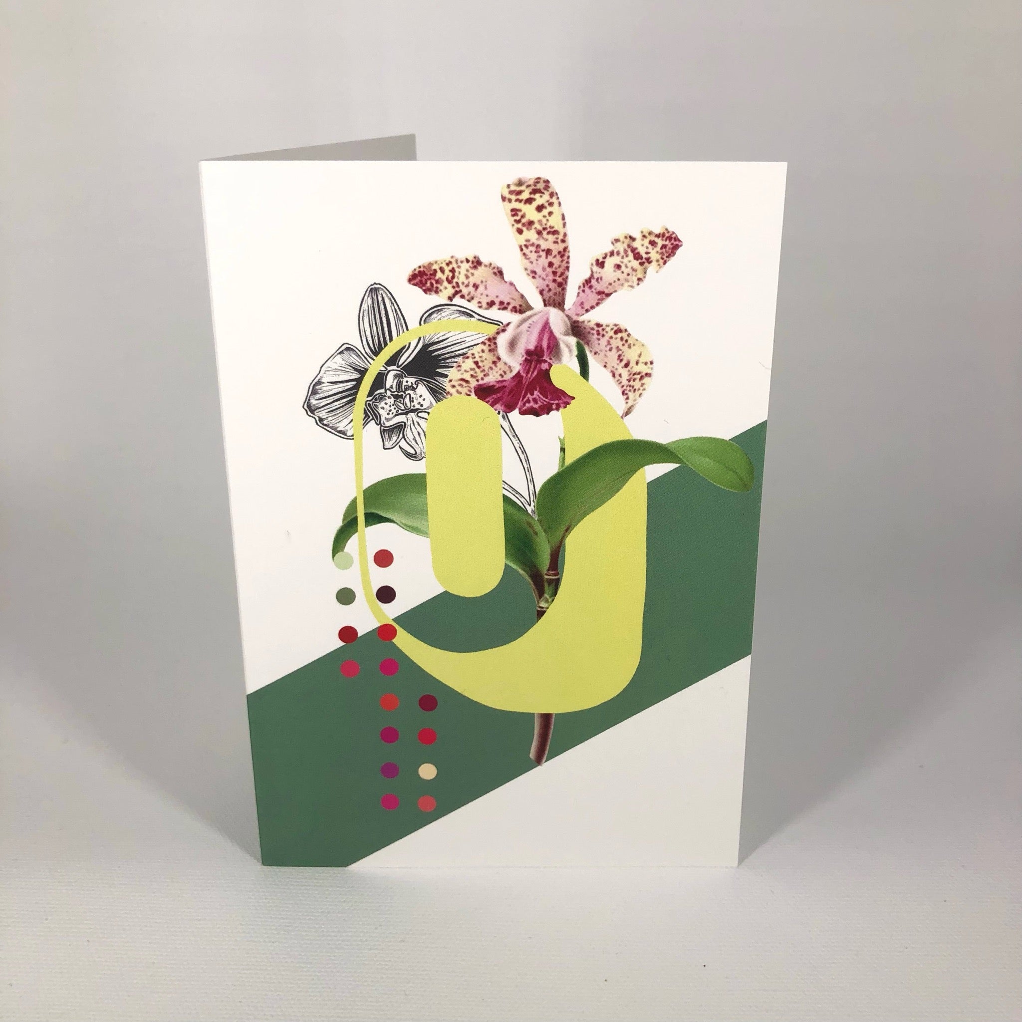 Botanical Alphabet O Greeting Card
