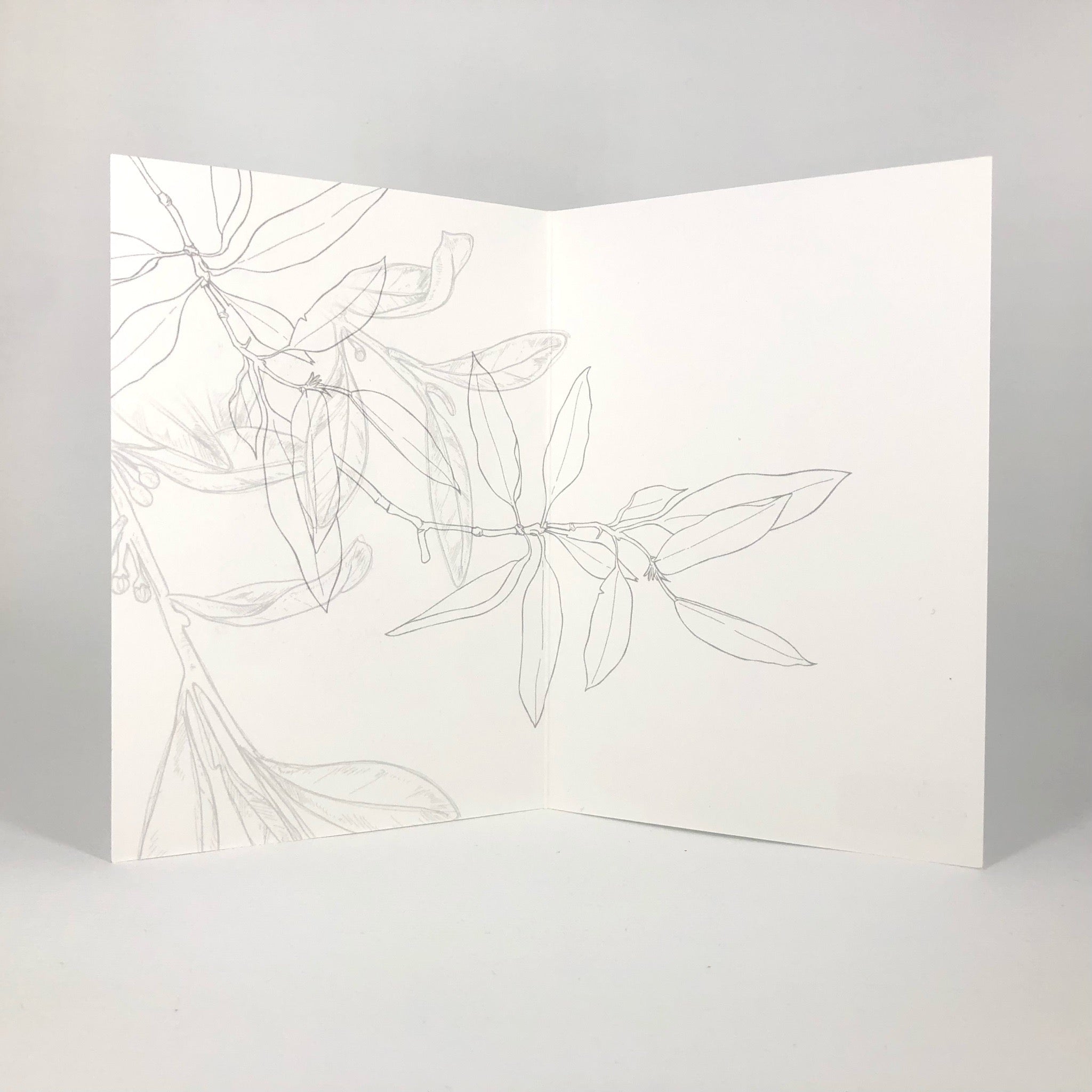 Botanical Alphabet Y Greeting Card