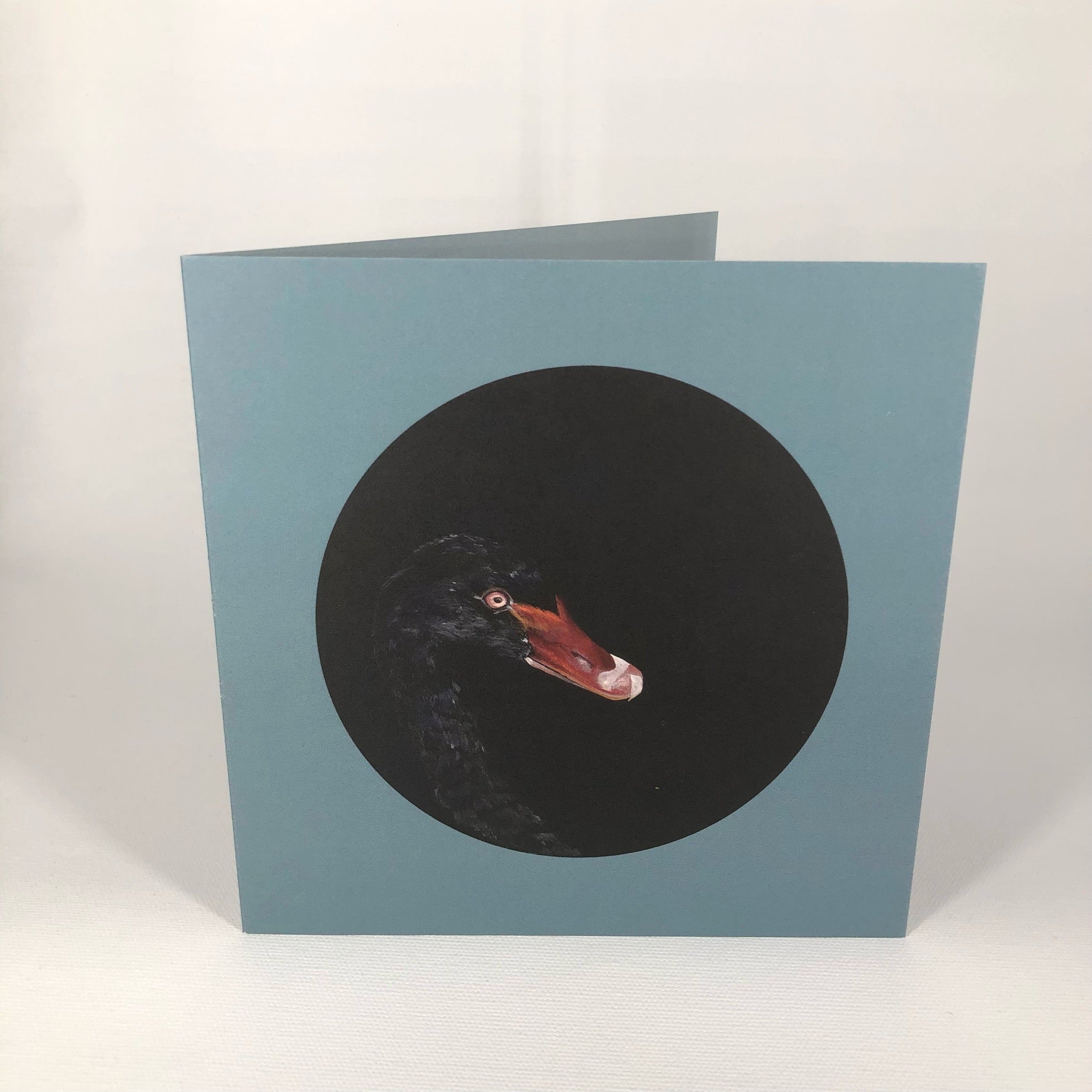 Black Swan Greeting Card