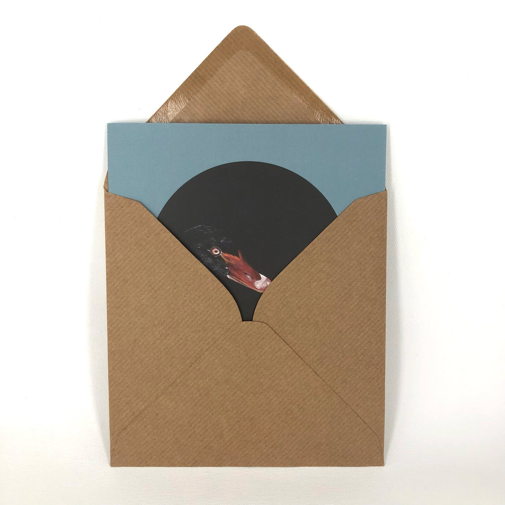 Black Swan Greeting Card