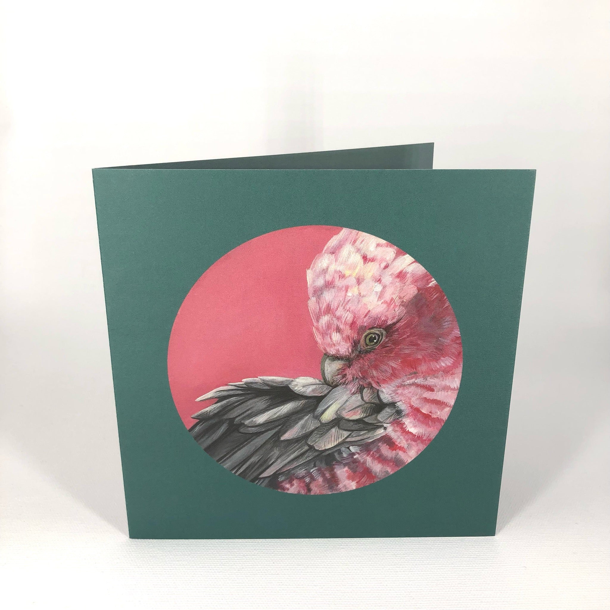 Pink Galah Greeting Card