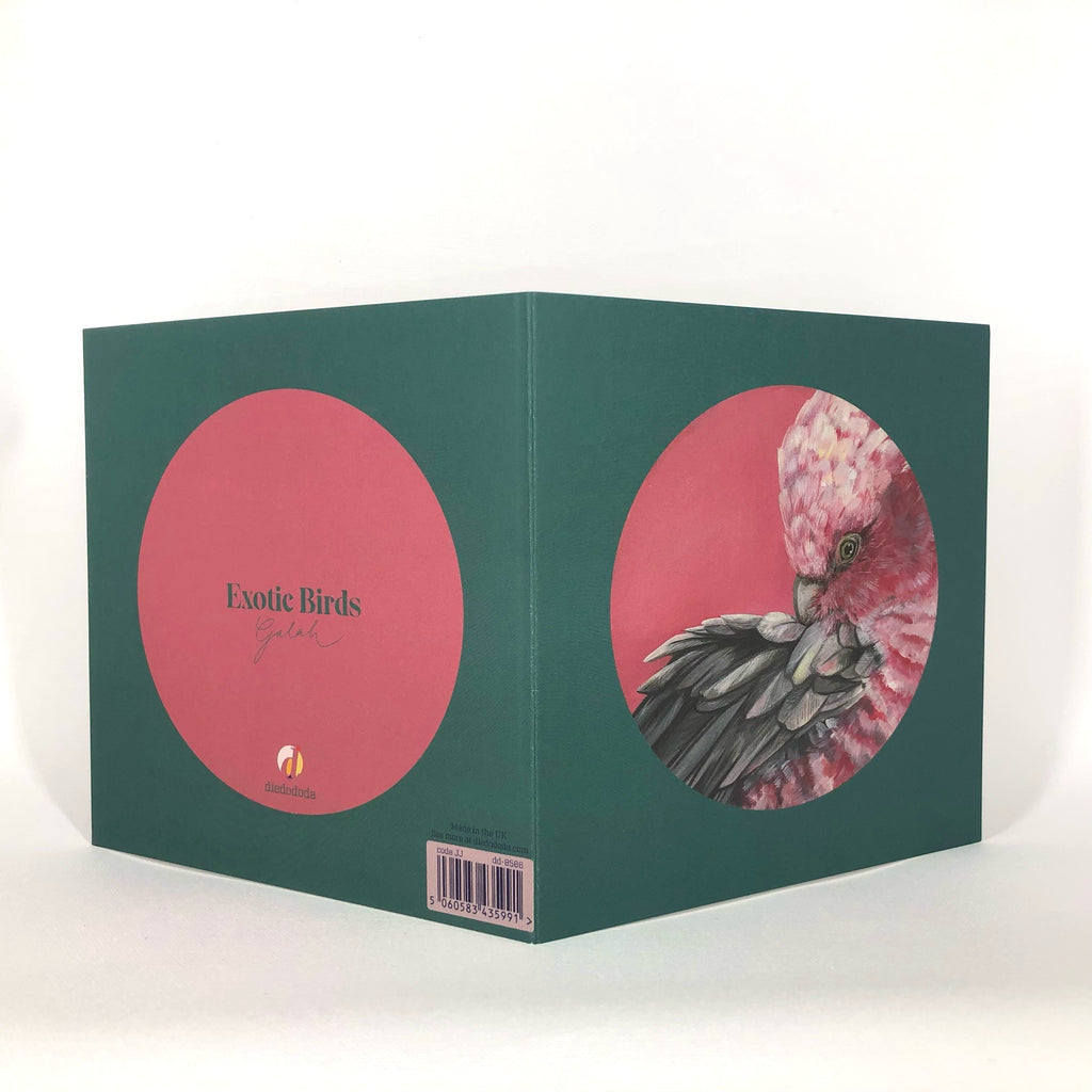 Pink Galah Greeting Card