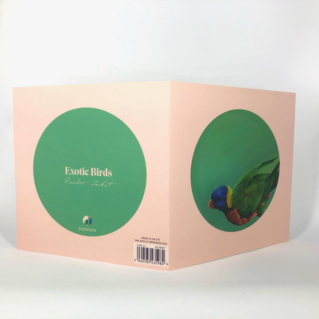 Rainbow Lorikeet Greeting Card